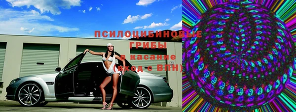 кокс Алексин