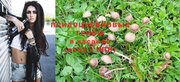 амфетамин Алексеевка