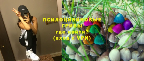 кокс Алексин
