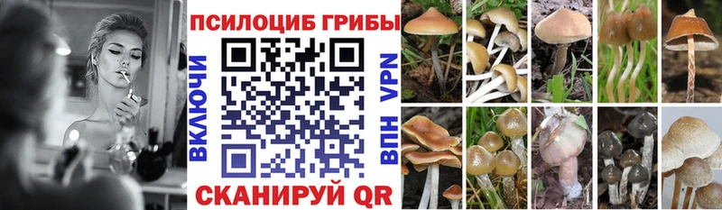 Галлюциногенные грибы ЛСД  сколько стоит  Майкоп 