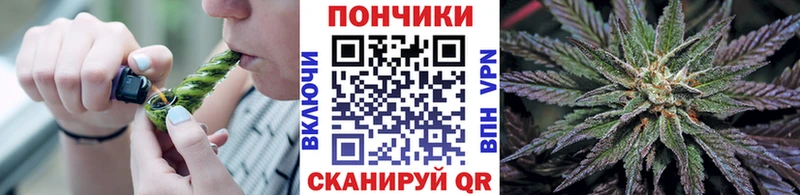 Шишки марихуана MAZAR  Майкоп 